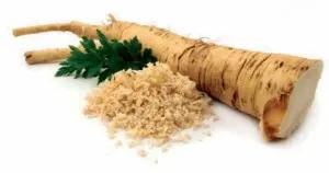 horseradish-a-powerful-keeper-of-your-health-1